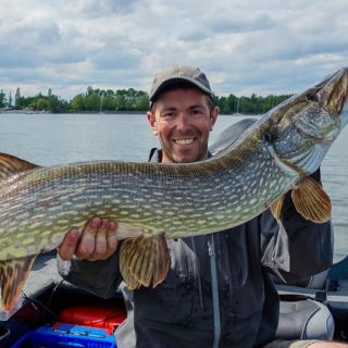 Big pike from the lake in Plobsheim, Alsace, France !