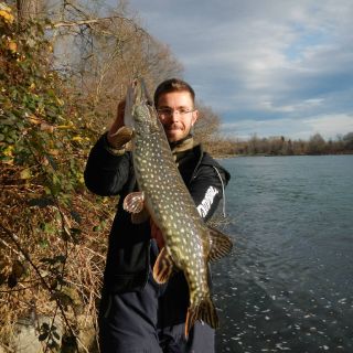 Pike from France