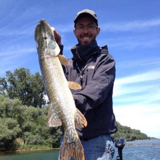 Nice pike catched in Alsace, France