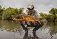 Insanity On The Fly 's Fly-fishing Picture of a Crucian carp – Fly dreamers 