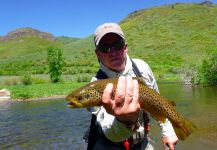 Yampa River Brown on Dry