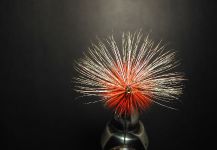 Fly-tying for Browns - Pic by Agostino Roncallo 