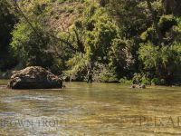 Fly fishing picture