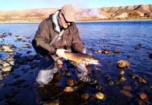 Guillermo Biasola 's Fly-fishing Catch of a European brown trout – Fly dreamers 