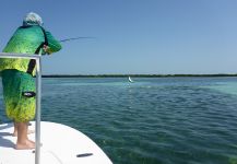 Fly-fishing Situation of Tarpon - Picture shared by Guillermo Hermoso – Fly dreamers