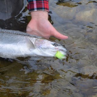 Fly fishing picture