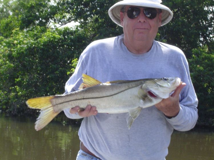 Pequeño Robalo o Snook