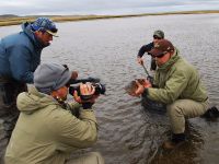 Fly fishing picture