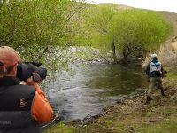 Fly fishing picture