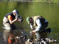 Fly fishing picture