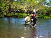 Fly fishing picture