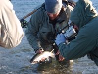 Fly fishing picture