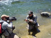 Fly fishing picture