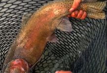 Deep Creek Outfitters 's Fly-fishing Catch of a Coastal cutthroat – Fly dreamers 