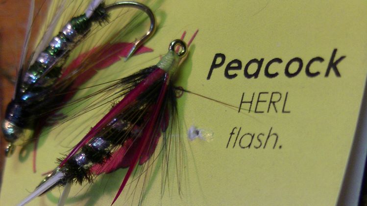 PRINCE –Peacok Herl Flash