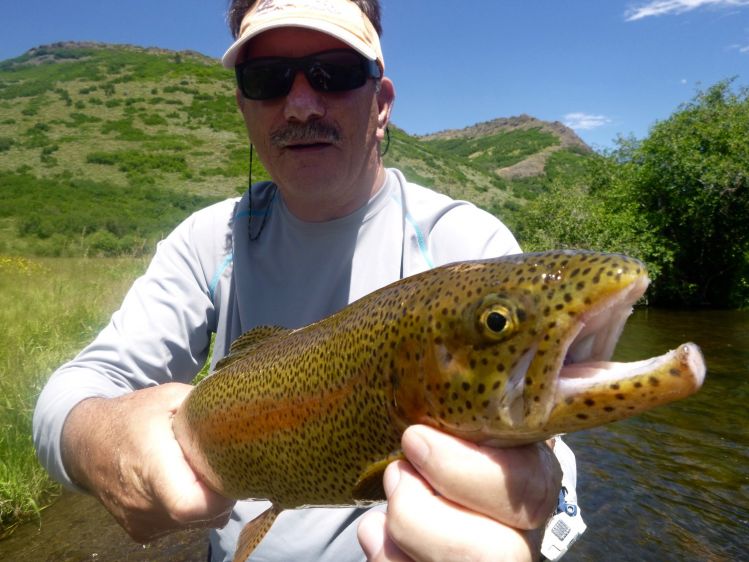 Dry Fly Fishing on the Yampa River
