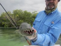 Foto de pesca con mosca