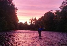 Sweet Fly-fishing Situation of Rainbow trout - Photo shared by Cierra Bennetch – Fly dreamers 