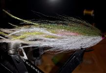 David Bullard 's Fly for False Albacore - Little Tunny - Image – Fly dreamers 