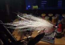 Fly-tying for Snook - Robalo - Photo shared by David Bullard – Fly dreamers 