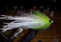 Fly-tying for Tarpon - Photo by David Bullard – Fly dreamers 