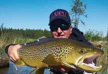  Foto de Pesca con Mosca de Salmo trutta compartida por Alexander Lexén – Fly dreamers