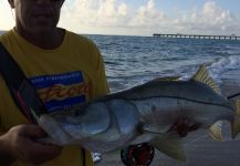 Fly-fishing Pic of Snook - Robalo shared by David Bullard – Fly dreamers 