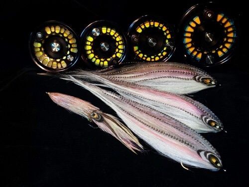 Striped  Mullet &amp;Squid