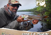  Imagen de Pesca con Mosca de Snook - Róbalo por Kid Ocelos – Fly dreamers