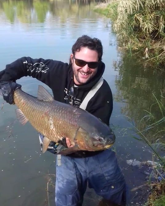 Salmón Siberiano  (Carpa Herbivora) con Mosca