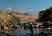 Sweet Fly-fishing Situation of Brown trout - Picture shared by Andrew Fowler – Fly dreamers