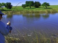 Fly fishing picture