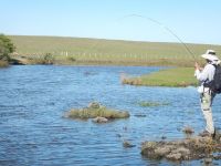 Fly fishing picture