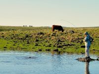 Fly fishing picture