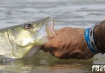  Foto de Pesca con Mosca de Snook - Róbalo compartida por Kid Ocelos – Fly dreamers