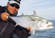 Chanan Chansrisuriyawong 's Fly-fishing Photo of a False Albacore - Little Tunny – Fly dreamers 