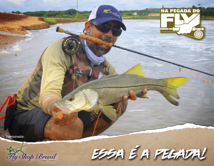 Snook fron Brazil