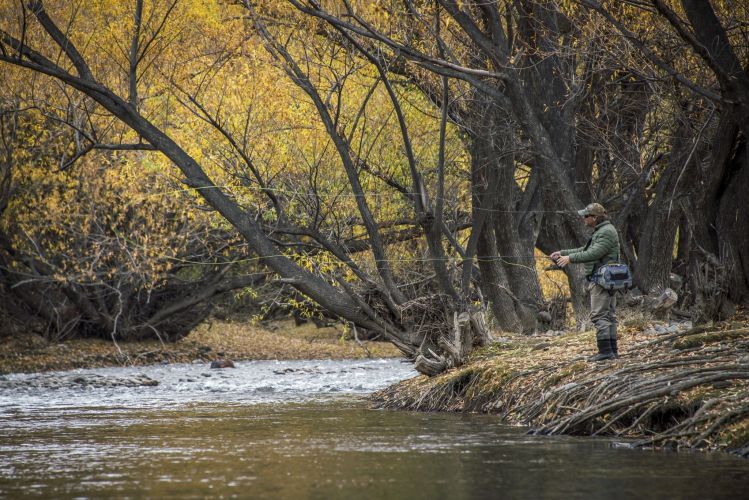 Fall in Malleo River