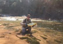  Fotografía de Pesca con Mosca de Golden dorado por Marcos Mandrille – Fly dreamers 