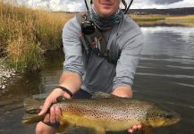 Brandon Marr 's Fly-fishing Pic of a Rainbow trout – Fly dreamers 