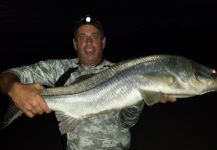 Fly-fishing Image of Snook - Robalo shared by David Bullard – Fly dreamers