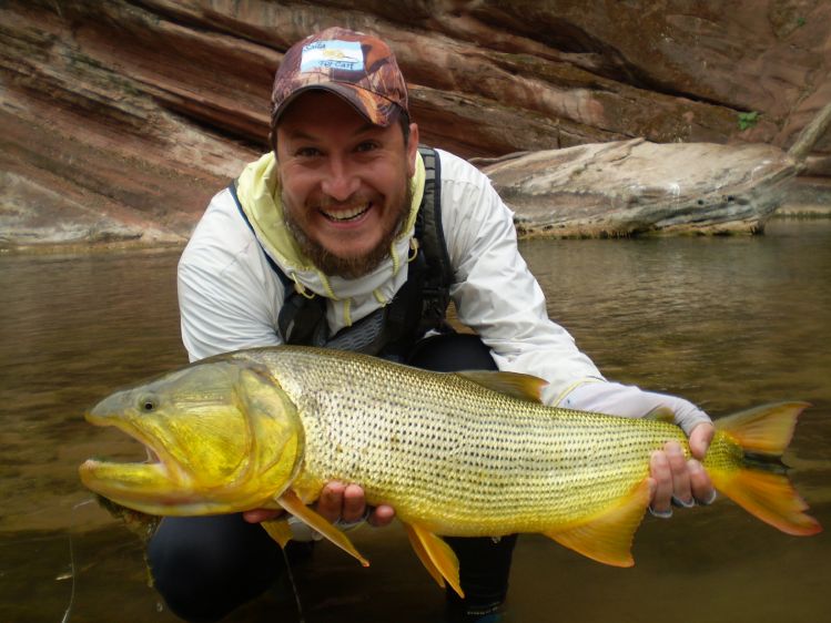 Dorado en las yungas dela Provincia de  Salta. Argentina.