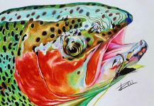 Impressive Fly-fishing Art Pic shared by Rosi Oldenburg 