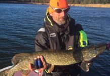 Fly-fishing Photo of Pike shared by Ramiro Garcia Malbran – Fly dreamers 