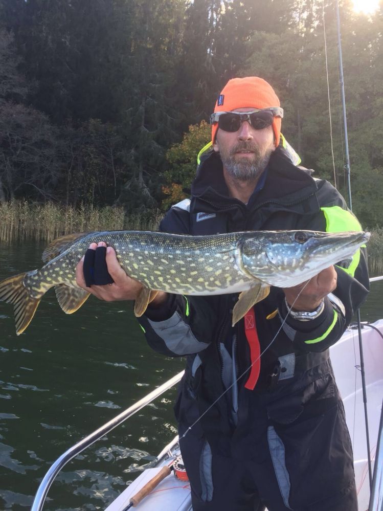 Lucio del Baltico cuatro Dias pescando en el paraíso  programa fantástico pesca durante todo el día y al llegar a la noche reno asado 
Salmón  ahumado y cerveza  finlandesa 
Terminábamos  con un sauna y baño en el mar 
Inolvidable