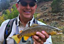 Fly-fishing Photo of Salmo trutta shared by Mark Greer – Fly dreamers 