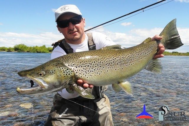 Llegó LIMAY GIANTS - Pescá las gigantes del Limay al mejor estilo SUR Outfitters. 
Descubrilo acá: <a href="http://suroutfitters.blogspot.com.ar/2016/10/limay-monsters.html">http://suroutfitters.blogspot.com.ar/2016/10/limay-monsters.html</a>