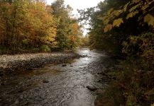 English trout Fly-fishing Situation – Marco Cipriani shared this Image in Fly dreamers 