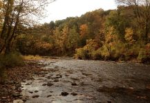 Good Fly-fishing Situation of Salmo fario - Picture shared by Marco Cipriani – Fly dreamers