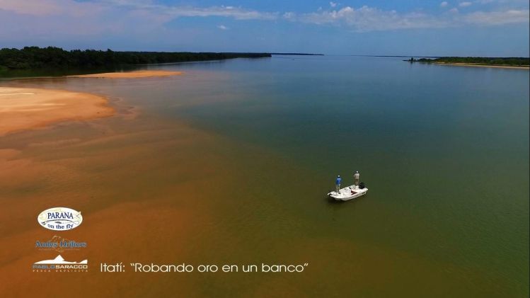 Parana on the Fly!!! Spotting Gonden Dorados in clear water along the sand bars...  Picture taken today by Pablo Saracco